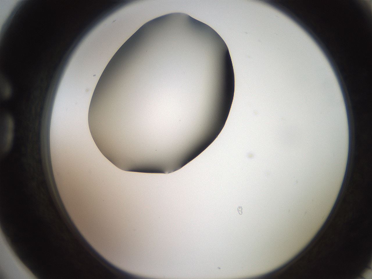 folderID249_plateID2249_batchID10284_wellNum78_profileID1_d1_r156376_ef.jpg