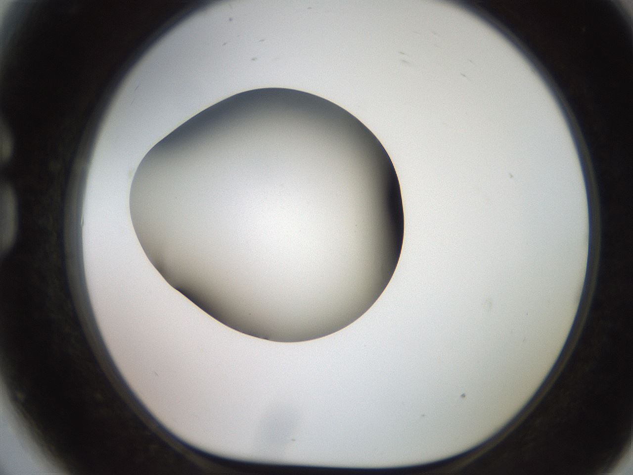 folderID249_plateID2249_batchID10284_wellNum81_profileID1_d1_r156382_ef.jpg