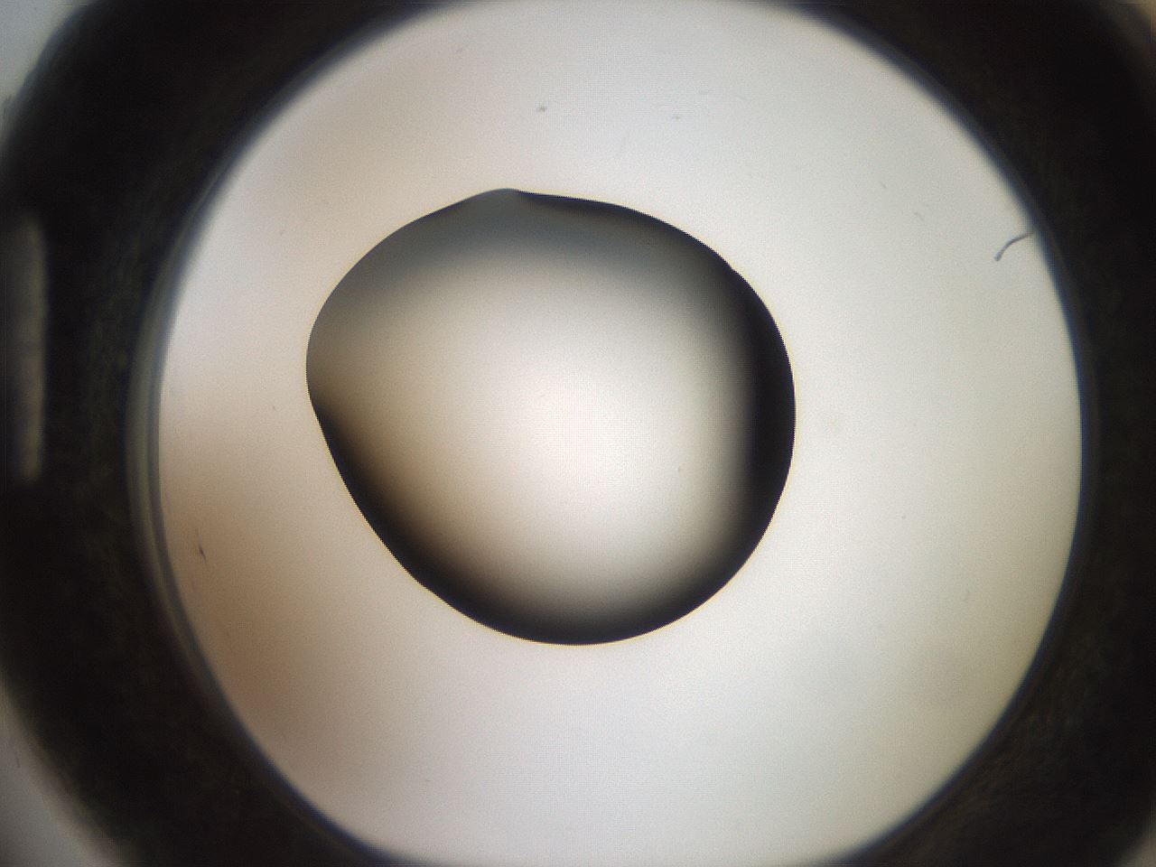 folderID249_plateID2249_batchID10284_wellNum89_profileID1_d1_r156398_ef.jpg