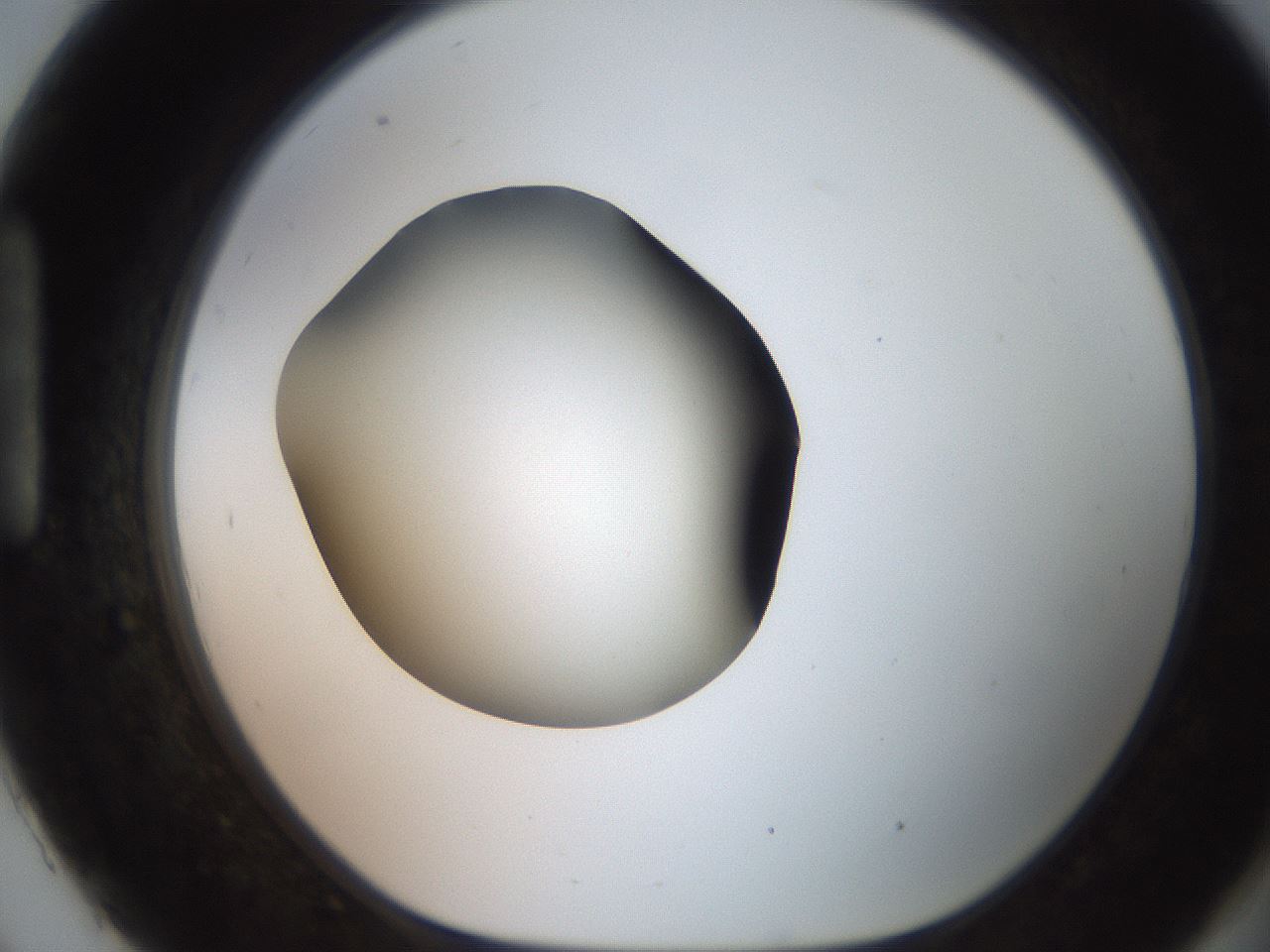 folderID249_plateID2249_batchID10284_wellNum93_profileID1_d1_r156406_ef.jpg