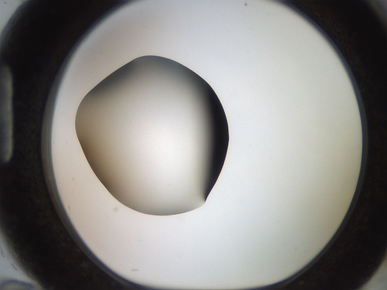 folderID249_plateID2249_batchID10284_wellNum94_profileID1_d1_r156408_ef.jpg