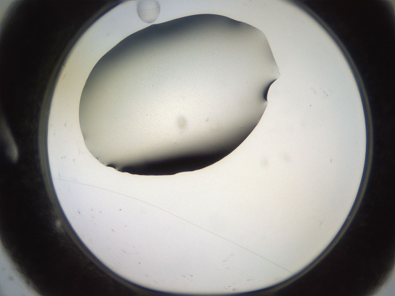 folderID249_plateID2249_batchID10284_wellNum9_profileID1_d1_r156238_ef.jpg