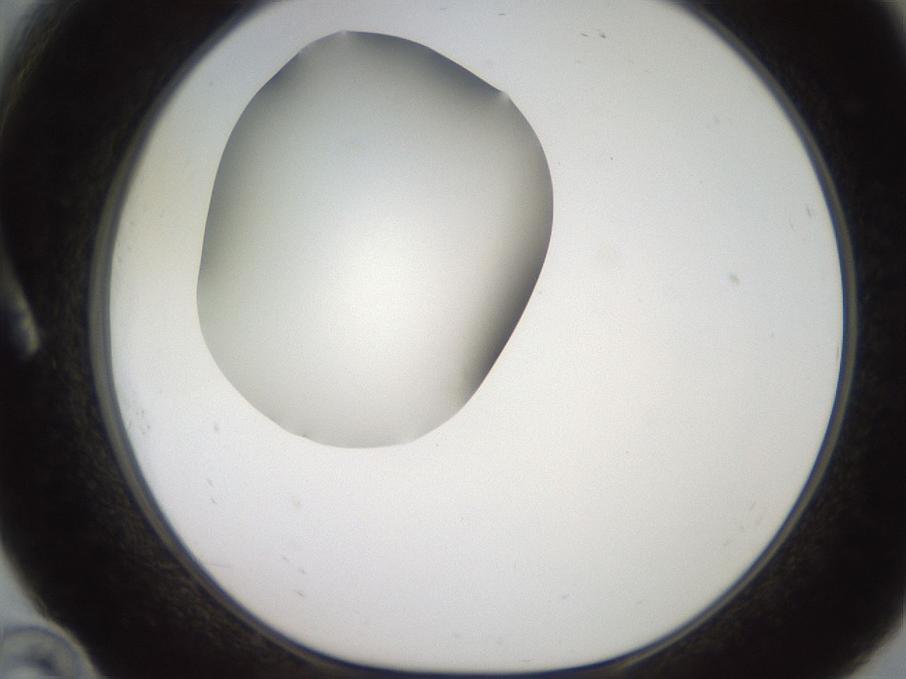 folderID250_plateID2250_batchID10282_wellNum10_profileID1_d1_r155469_ef.jpg