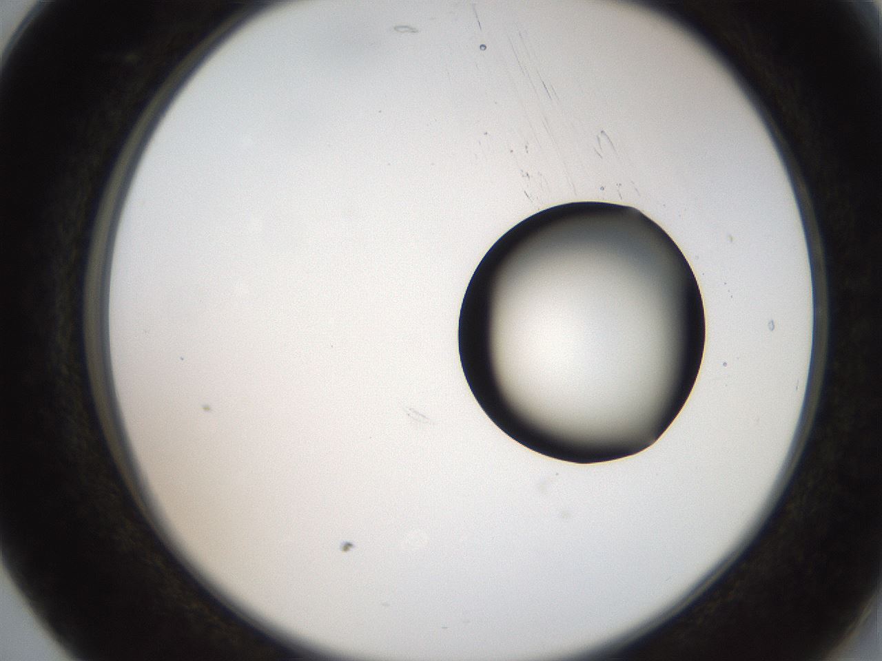 folderID250_plateID2250_batchID10282_wellNum17_profileID1_d2_r155484_ef.jpg