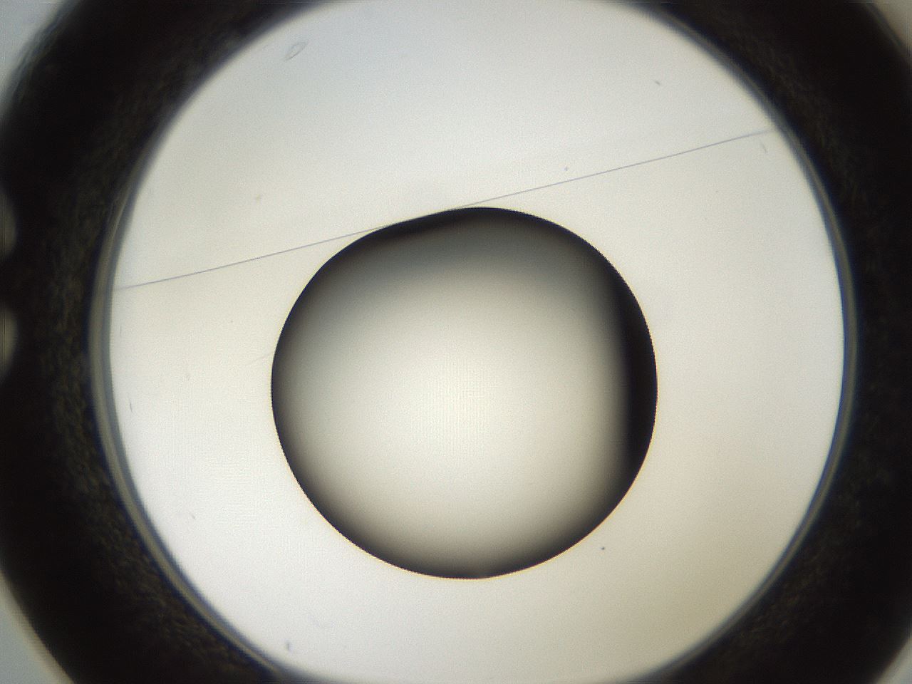 folderID250_plateID2250_batchID10282_wellNum25_profileID1_d1_r155499_ef.jpg