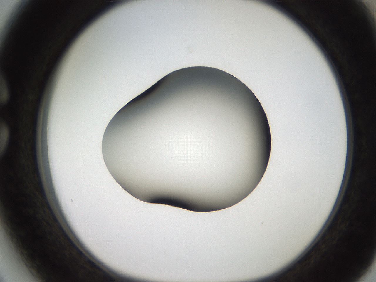 folderID250_plateID2250_batchID10282_wellNum27_profileID1_d1_r155503_ef.jpg