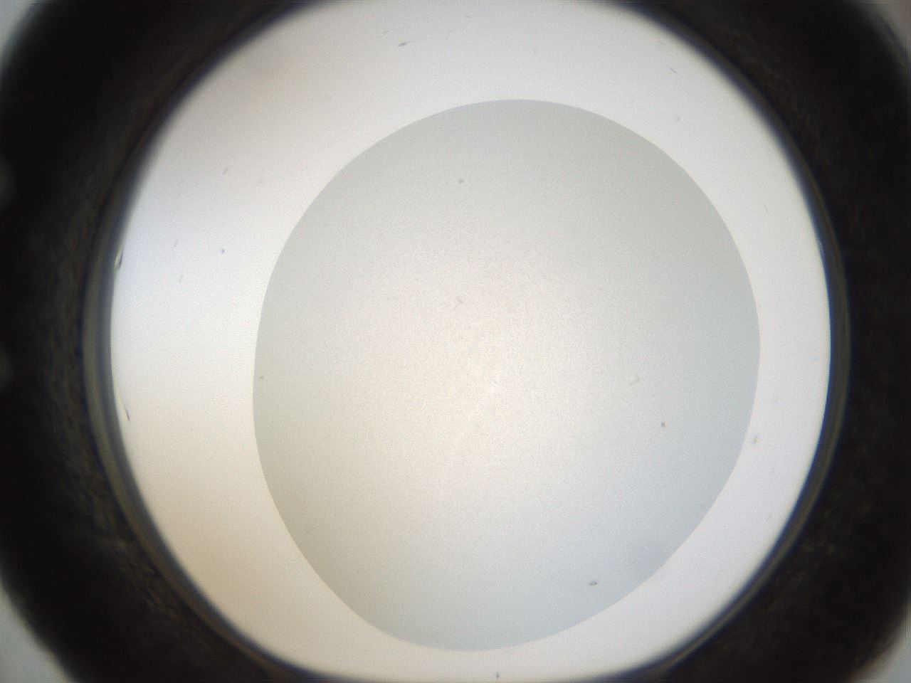 folderID24_plateID1024_batchID1892_wellNum53_profileID1_d1_r43320_ef.jpg