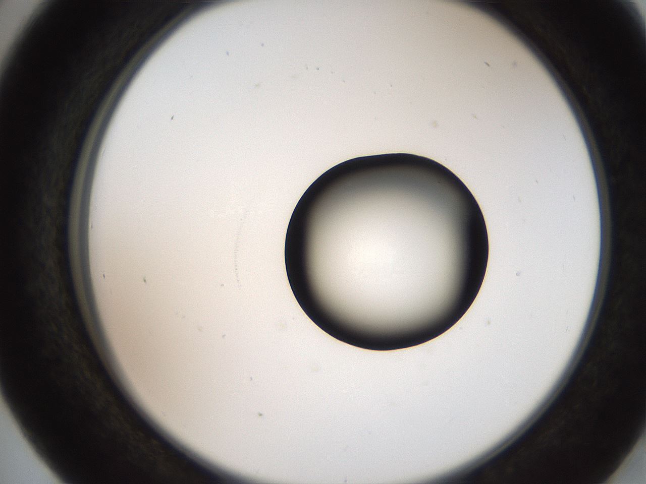 folderID250_plateID2250_batchID10282_wellNum41_profileID1_d2_r155532_ef.jpg