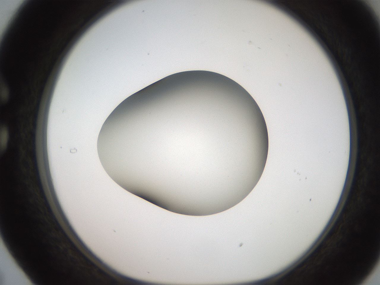 folderID250_plateID2250_batchID10282_wellNum29_profileID1_d1_r155507_ef.jpg