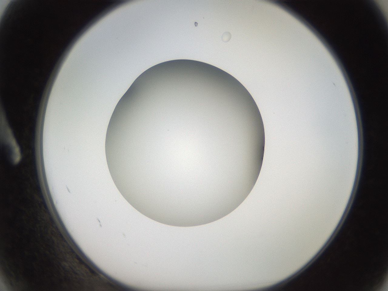 folderID250_plateID2250_batchID10282_wellNum2_profileID1_d1_r155453_ef.jpg