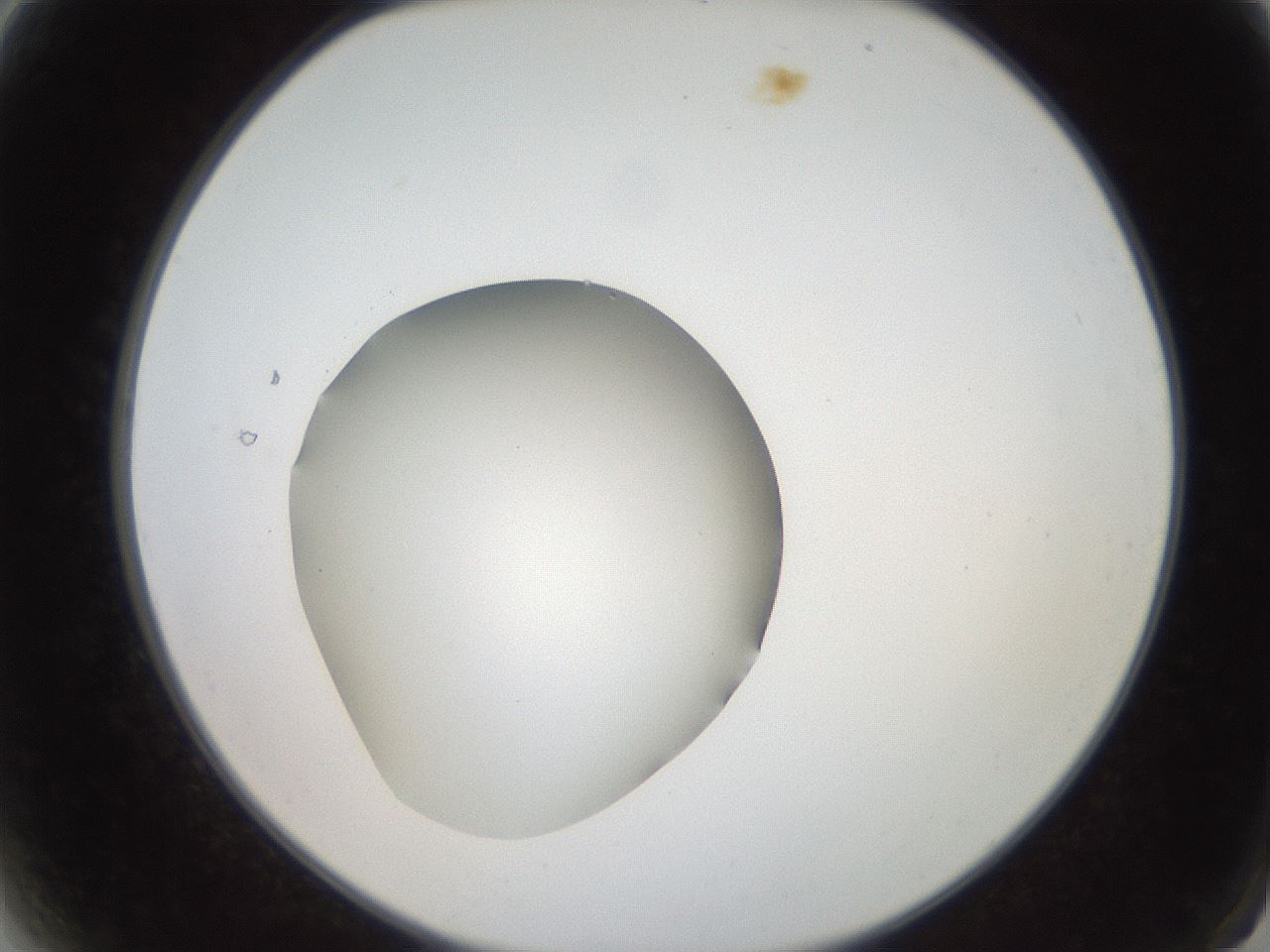 folderID250_plateID2250_batchID10282_wellNum2_profileID1_d2_r155454_ef.jpg