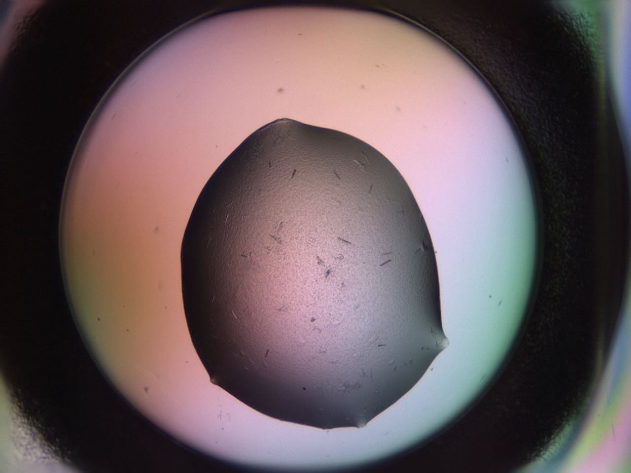 02hh_D6_ImagerDefaults_6.jpg