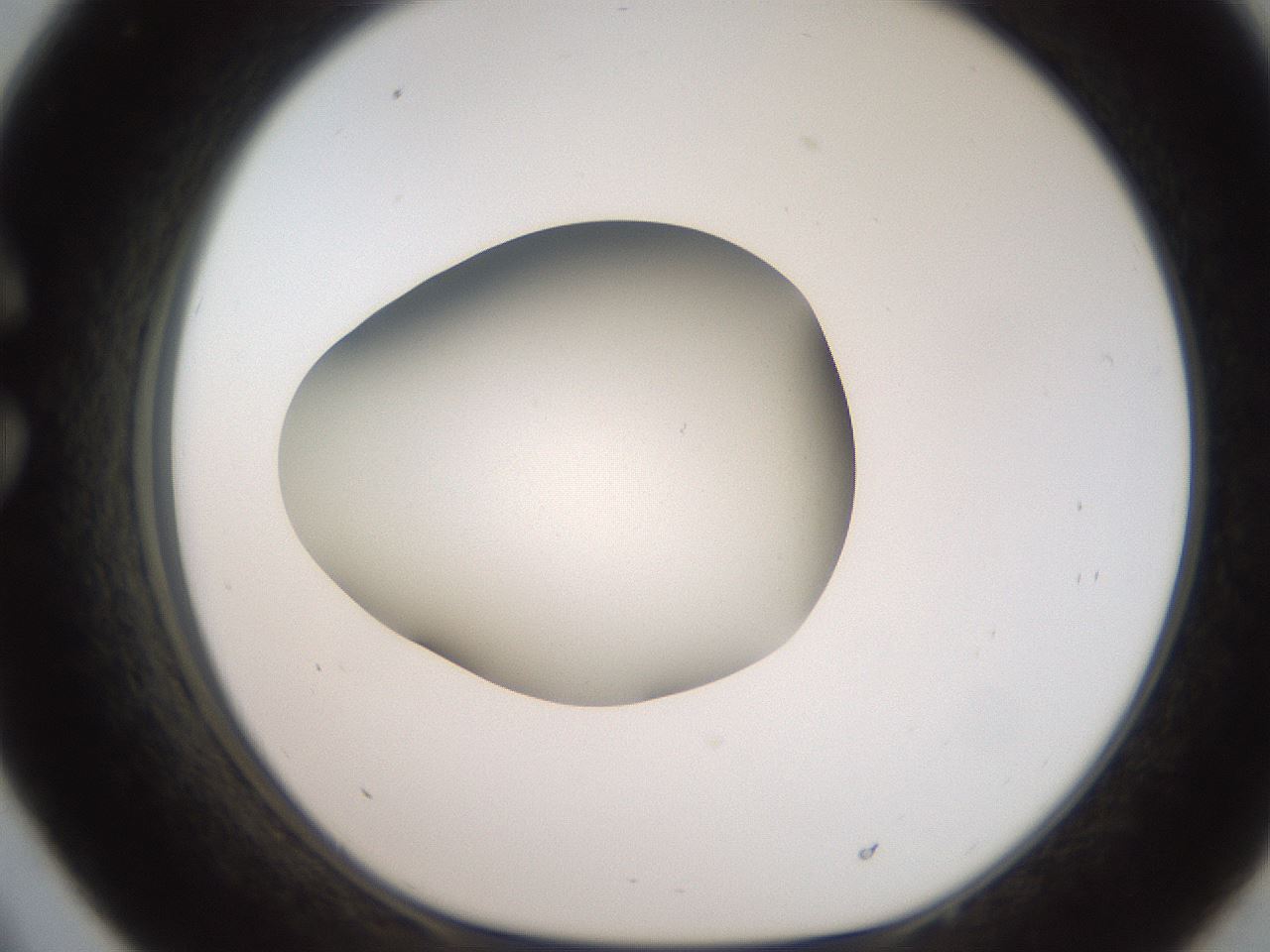 folderID250_plateID2250_batchID10282_wellNum33_profileID1_d1_r155515_ef.jpg