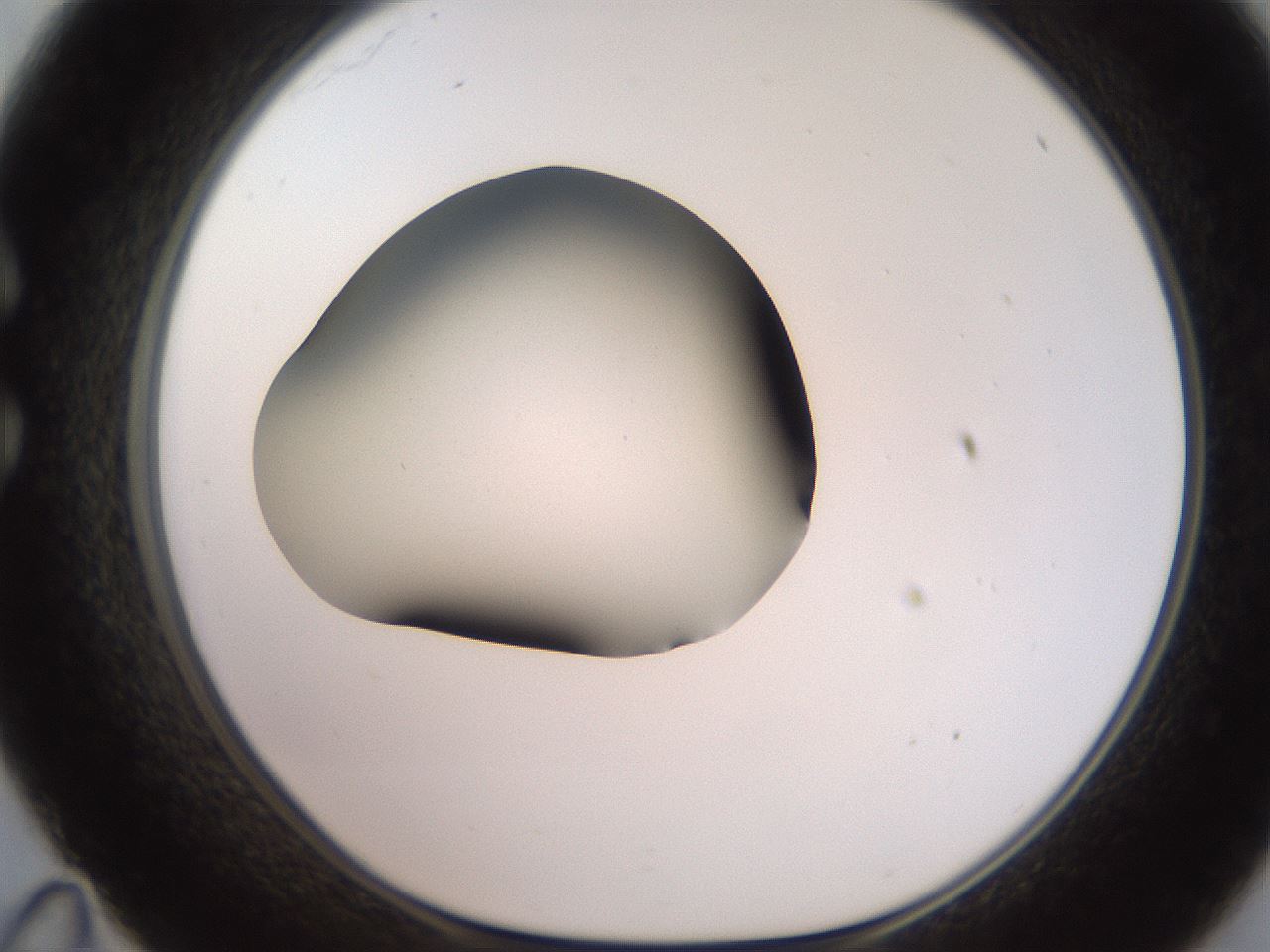 folderID250_plateID2250_batchID10282_wellNum35_profileID1_d1_r155519_ef.jpg