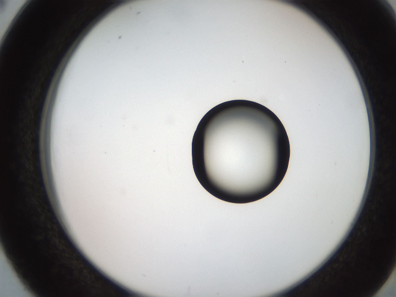 folderID250_plateID2250_batchID10282_wellNum38_profileID1_d2_r155526_ef.jpg