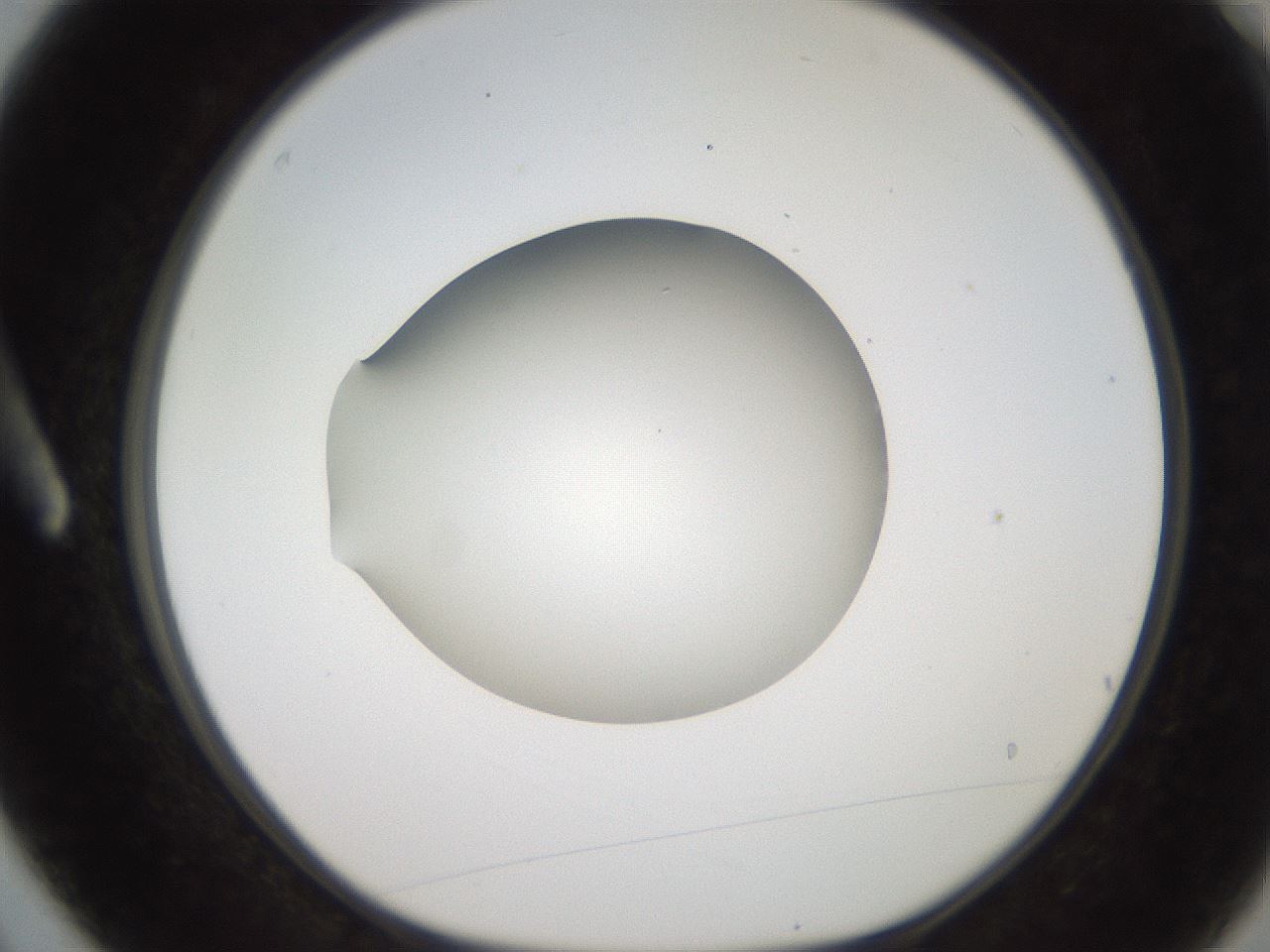 folderID250_plateID2250_batchID10282_wellNum3_profileID1_d1_r155455_ef.jpg