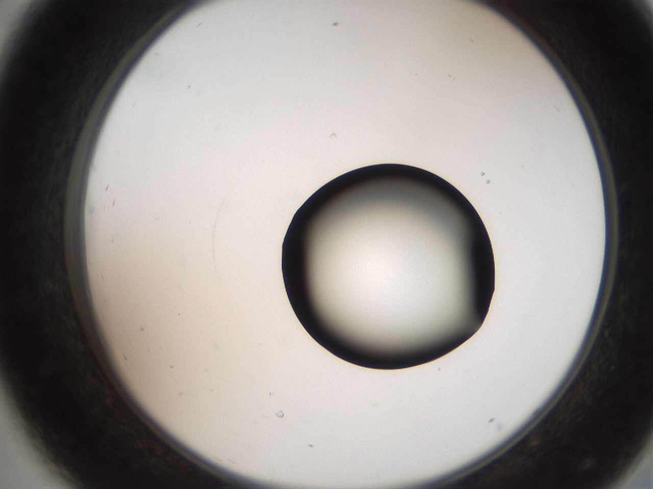folderID250_plateID2250_batchID10282_wellNum44_profileID1_d2_r155538_ef.jpg