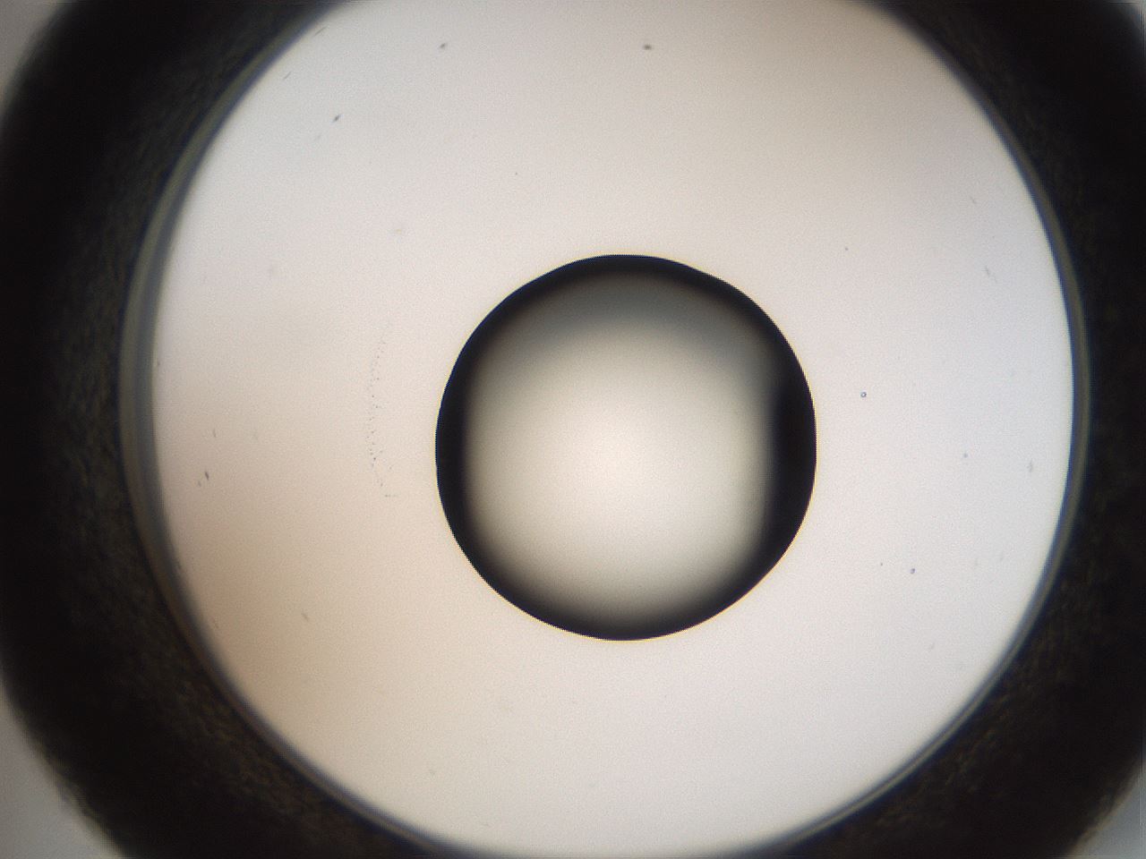 folderID250_plateID2250_batchID10282_wellNum45_profileID1_d2_r155540_ef.jpg
