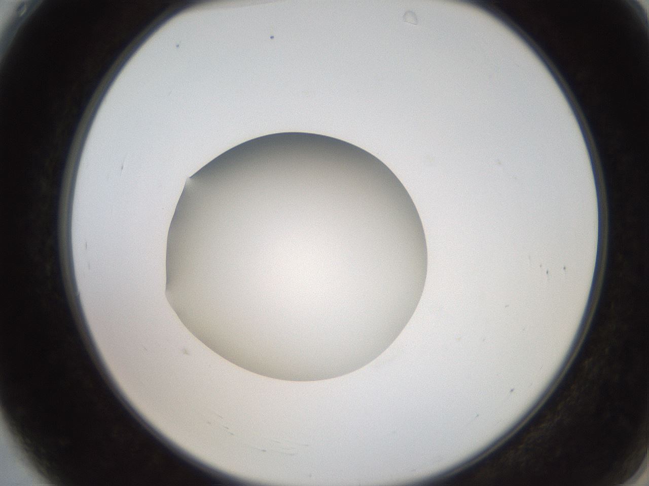 folderID250_plateID2250_batchID10282_wellNum4_profileID1_d2_r155458_ef.jpg