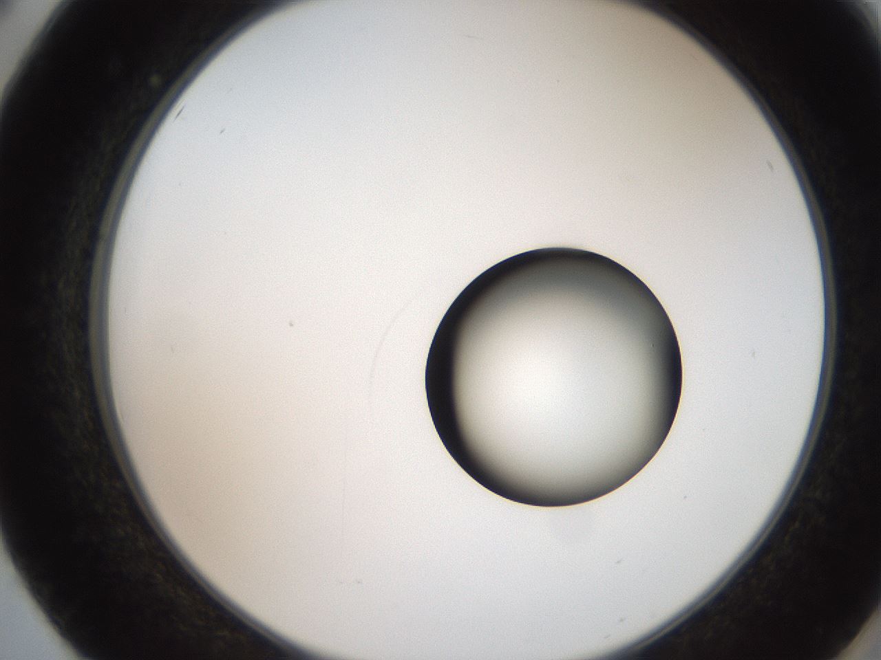 folderID250_plateID2250_batchID10282_wellNum50_profileID1_d2_r155550_ef.jpg