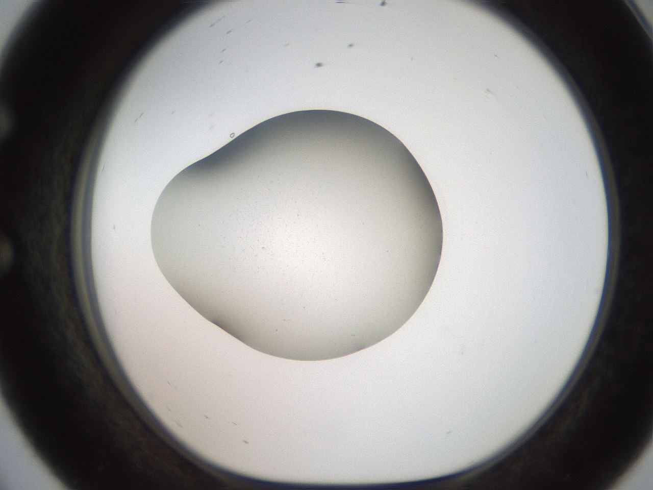 folderID250_plateID2250_batchID10282_wellNum56_profileID1_d1_r155561_ef.jpg