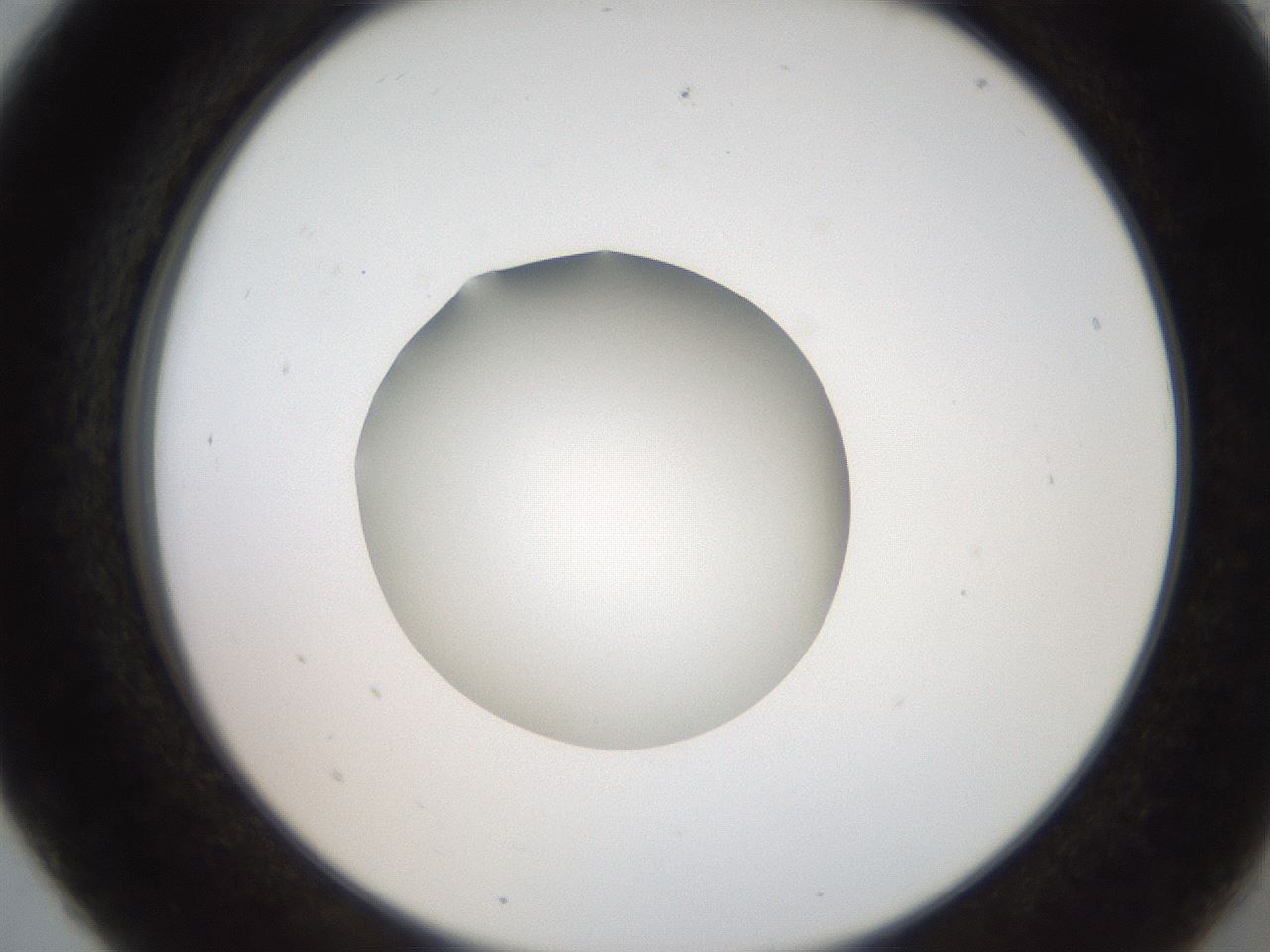folderID250_plateID2250_batchID10282_wellNum5_profileID1_d2_r155460_ef.jpg