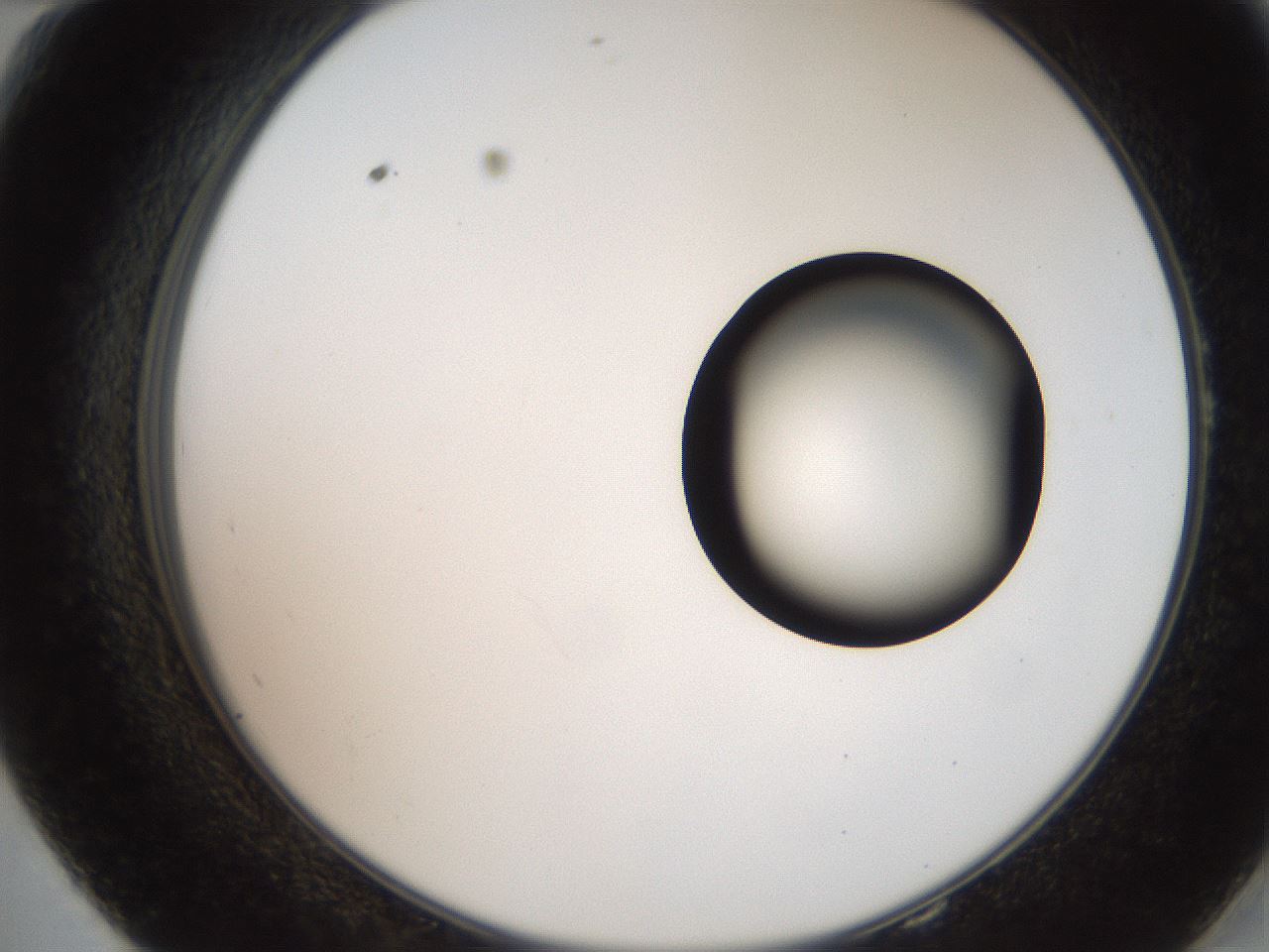 folderID250_plateID2250_batchID10282_wellNum58_profileID1_d2_r155566_ef.jpg