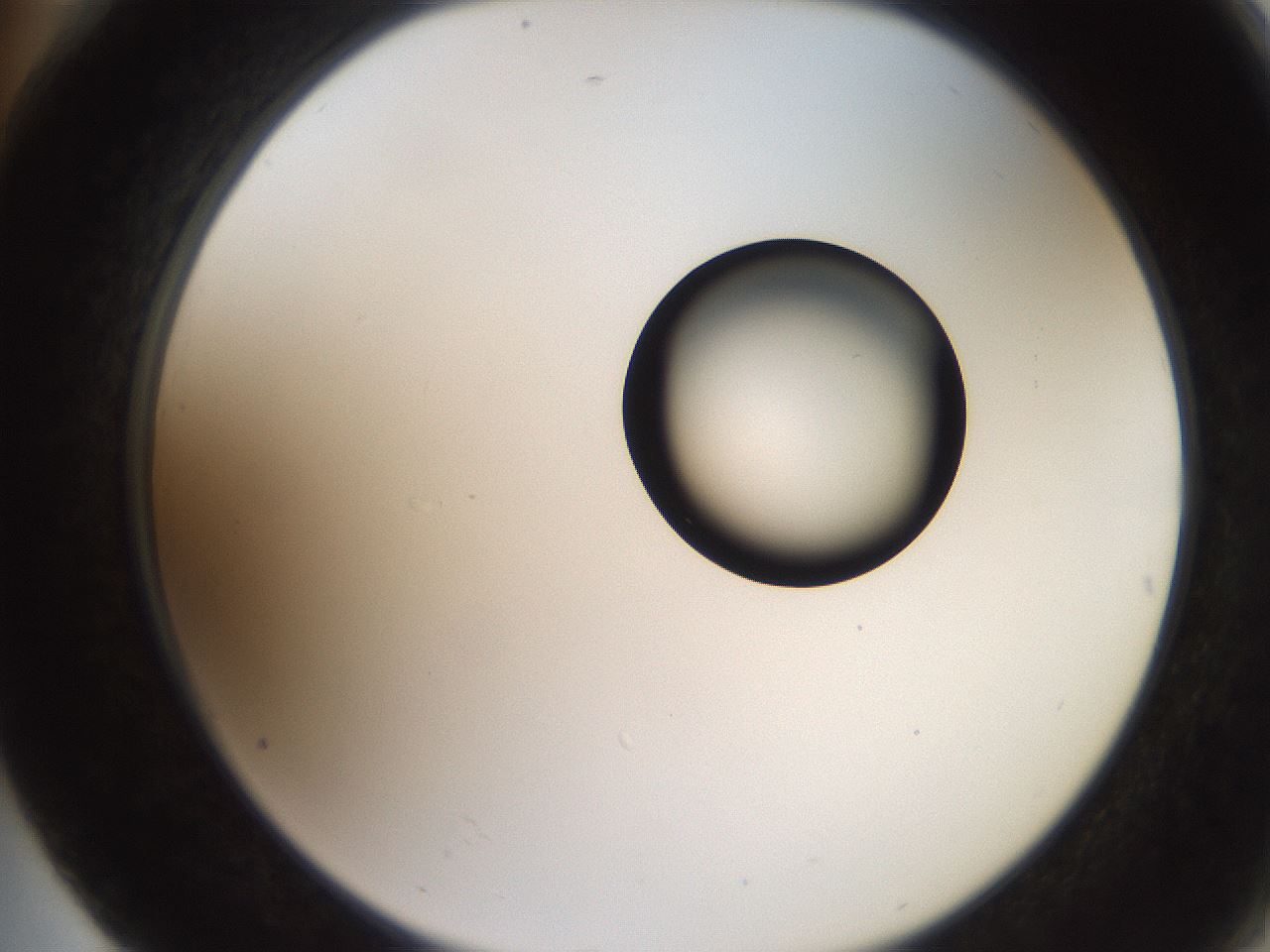 folderID250_plateID2250_batchID10282_wellNum76_profileID1_d2_r155602_ef.jpg