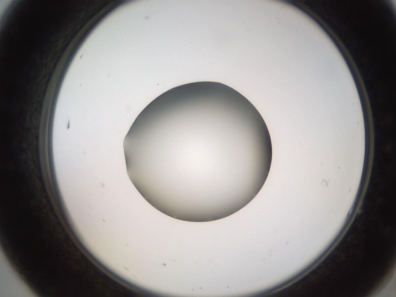 folderID250_plateID2250_batchID10282_wellNum7_profileID1_d2_r155464_ef.jpg