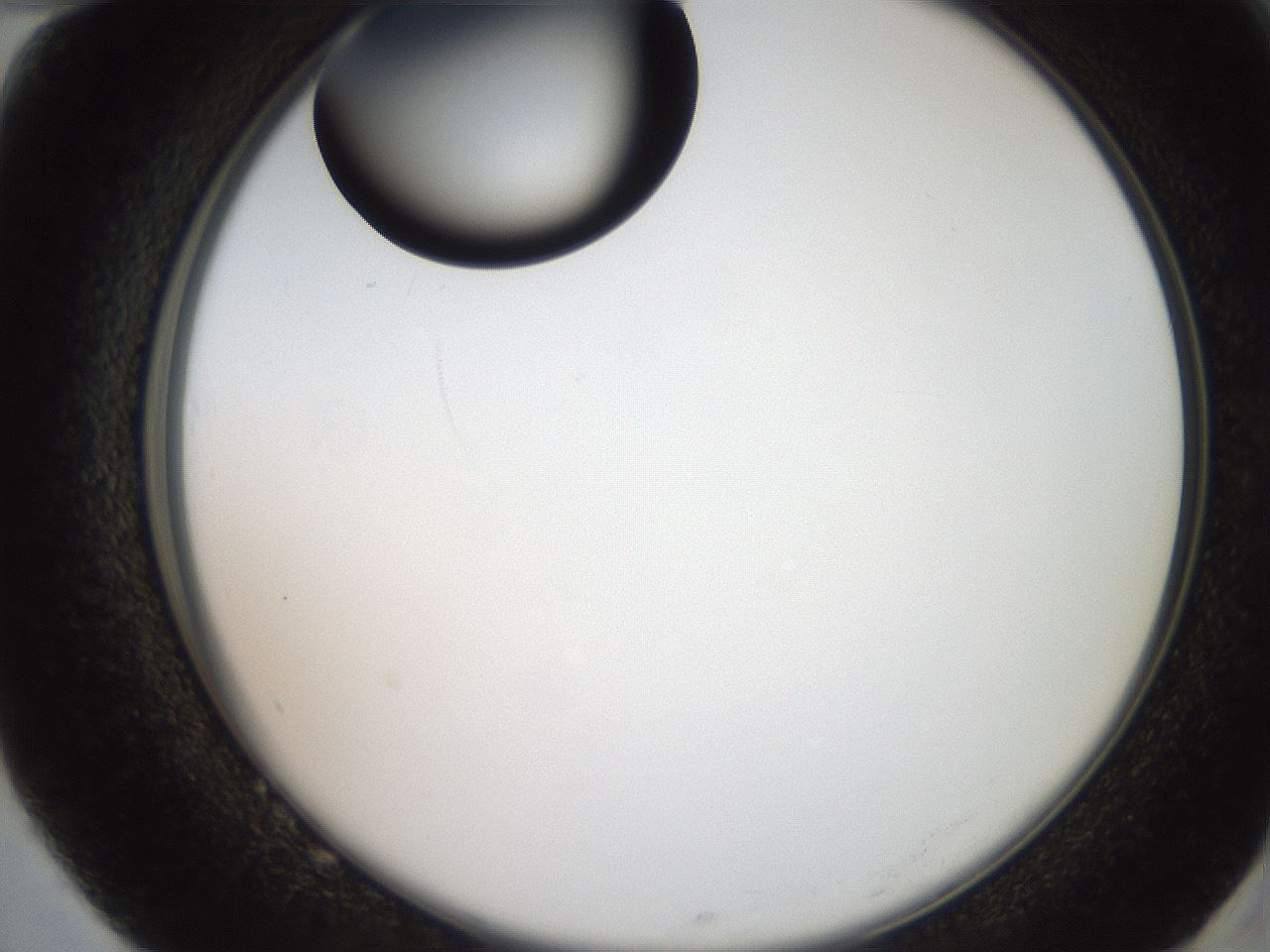 folderID250_plateID2250_batchID10282_wellNum82_profileID1_d2_r155614_ef.jpg