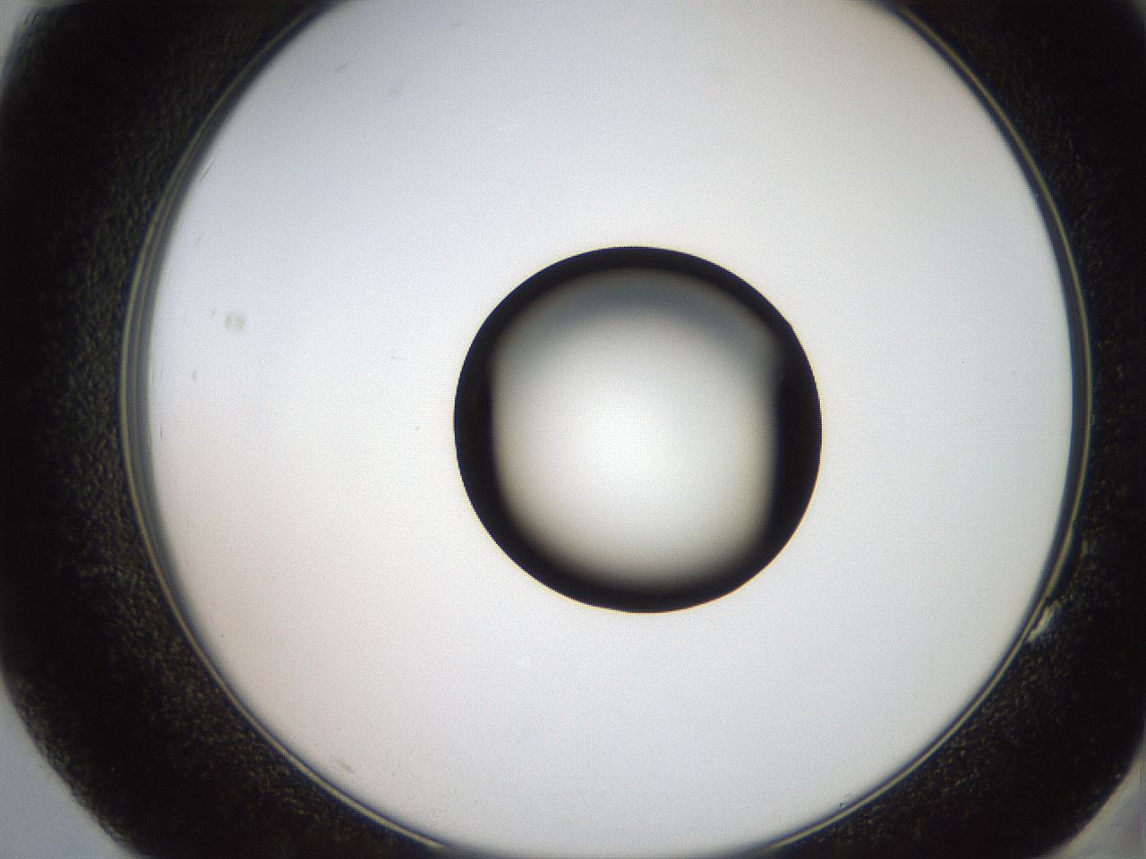 folderID250_plateID2250_batchID10282_wellNum83_profileID1_d2_r155616_ef.jpg