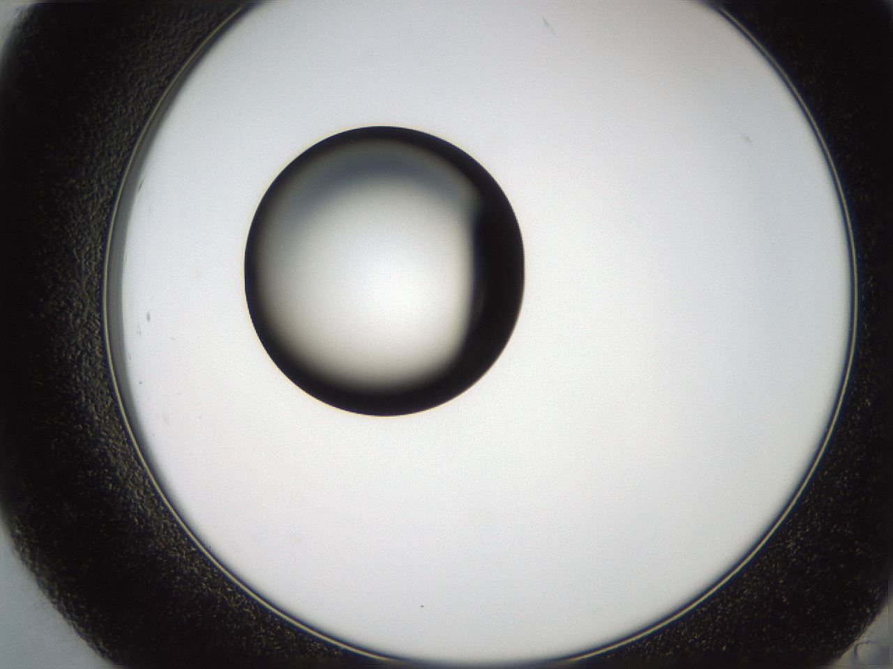 folderID250_plateID2250_batchID10282_wellNum84_profileID1_d2_r155618_ef.jpg
