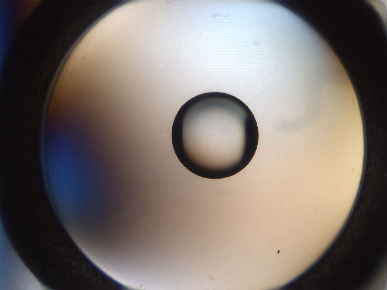 folderID250_plateID2250_batchID10282_wellNum85_profileID1_d2_r155620_ef.jpg