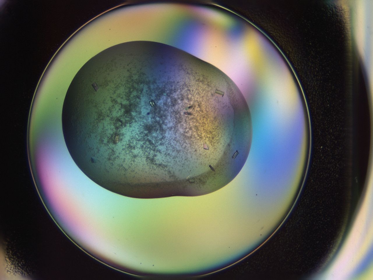 02hh_G3_ImagerDefaults_6.jpg