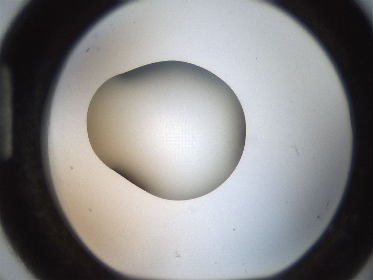 folderID250_plateID2250_batchID10282_wellNum92_profileID1_d1_r155633_ef.jpg
