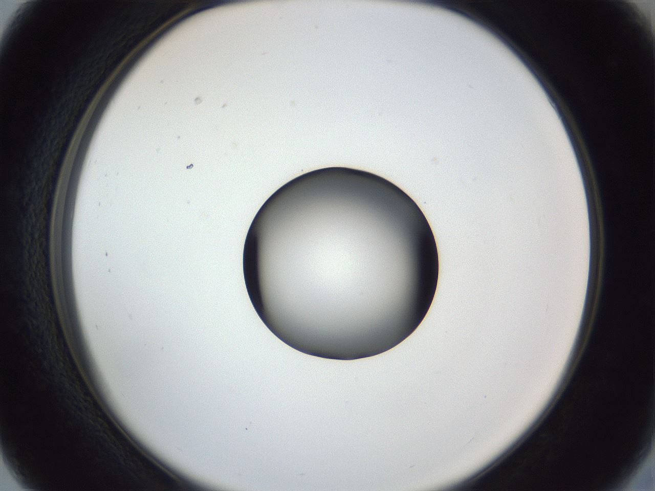 folderID252_plateID1252_batchID3920_wellNum27_profileID1_d2_r72515_ef.jpg