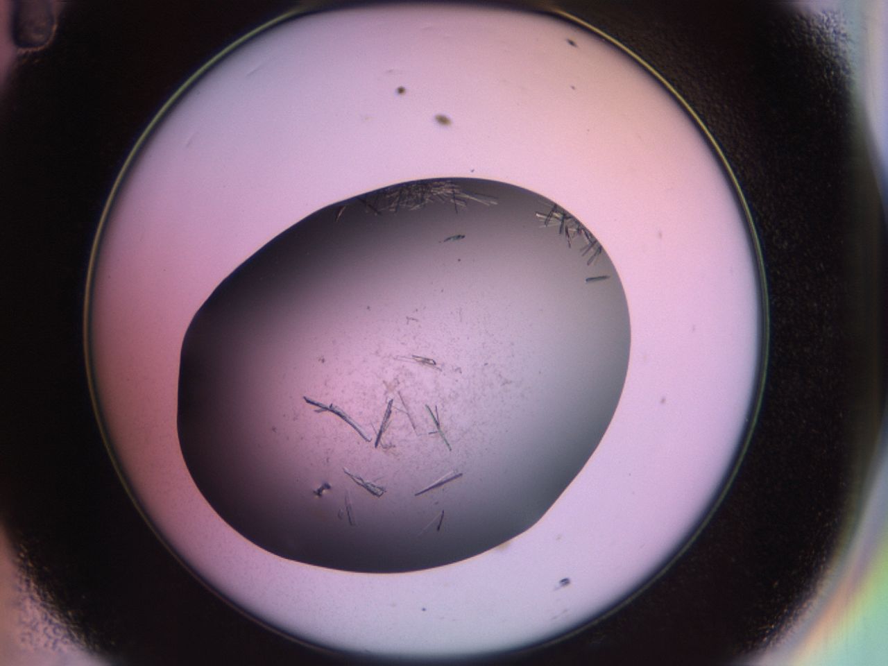 02hi_D11_ImagerDefaults_7.jpg