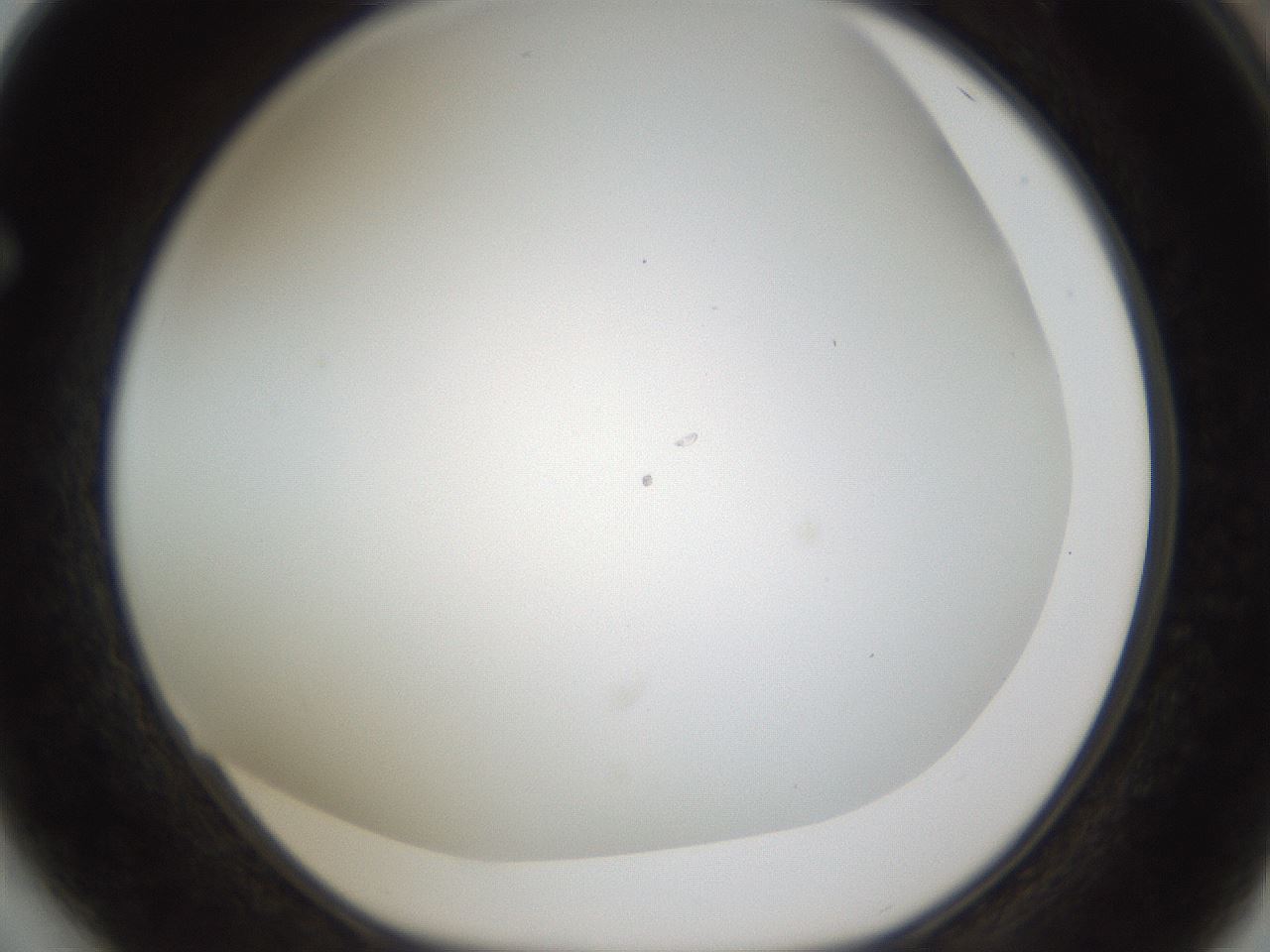 folderID211_plateID1211_batchID3654_wellNum64_profileID1_d1_r67454_ef.jpg