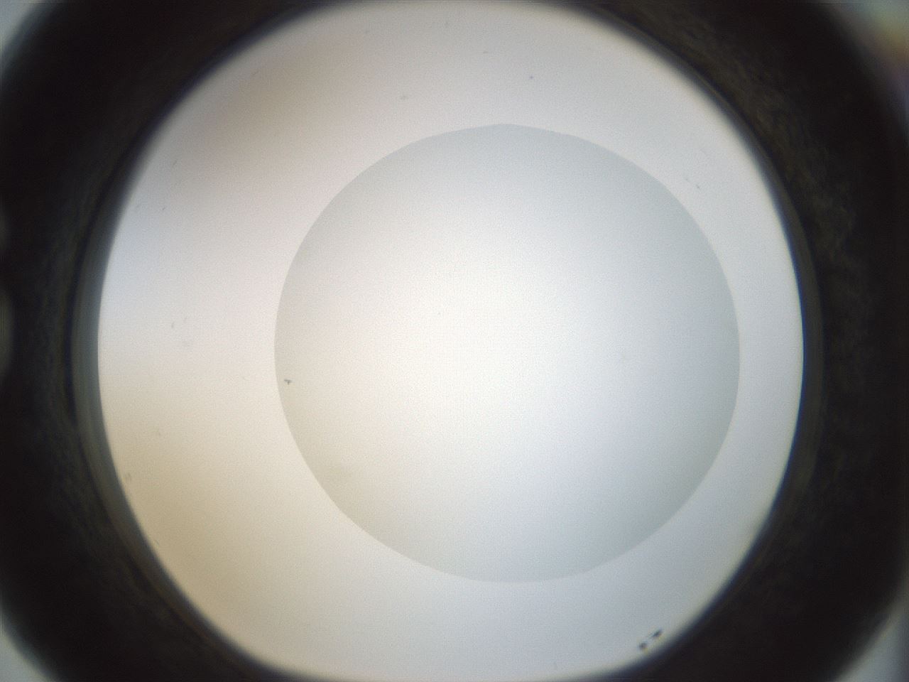 folderID155_plateID1155_batchID3205_wellNum77_profileID1_d1_r62583_ef.jpg