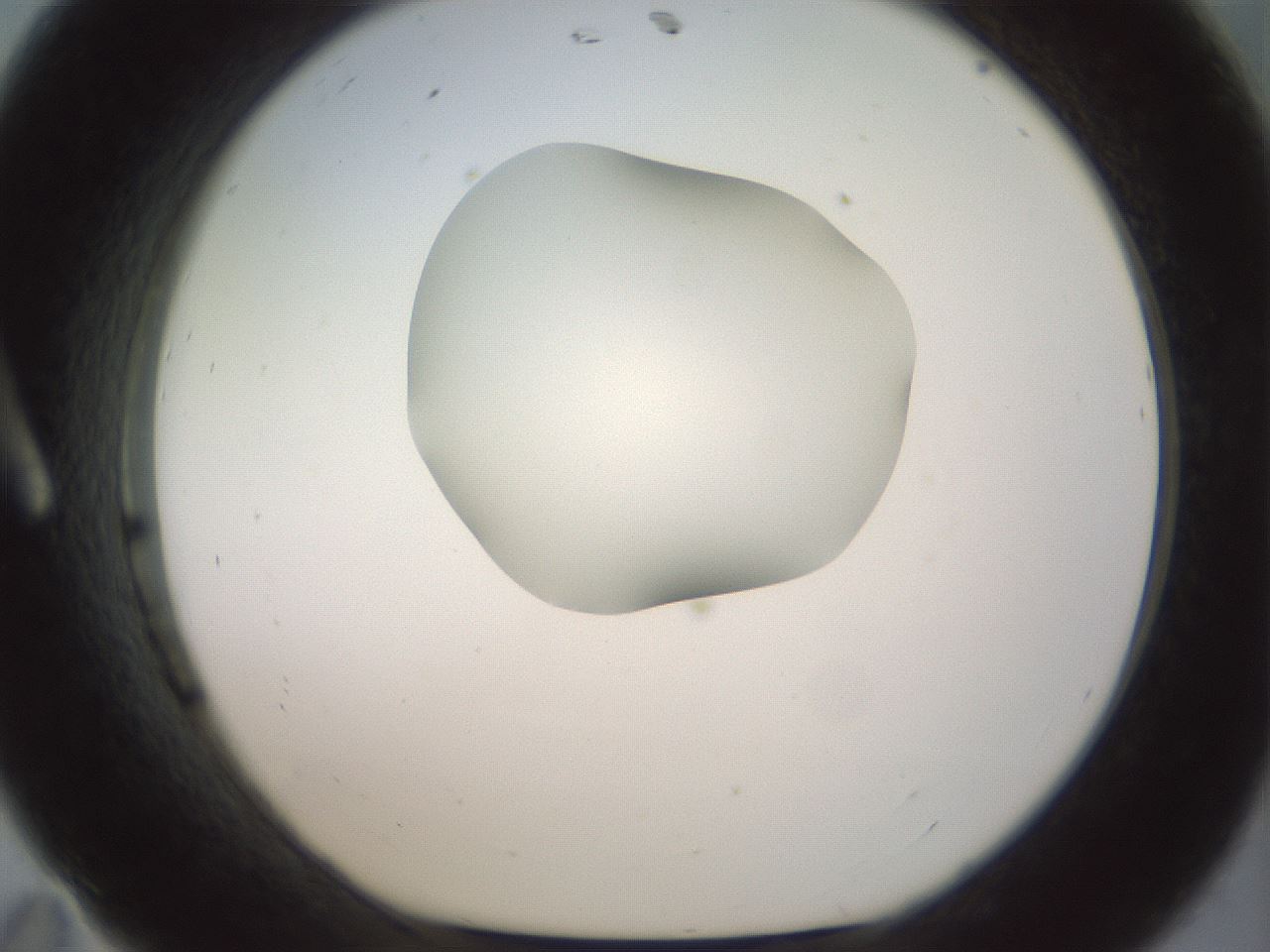 folderID156_plateID1156_batchID3128_wellNum11_profileID1_d1_r63603_ef.jpg