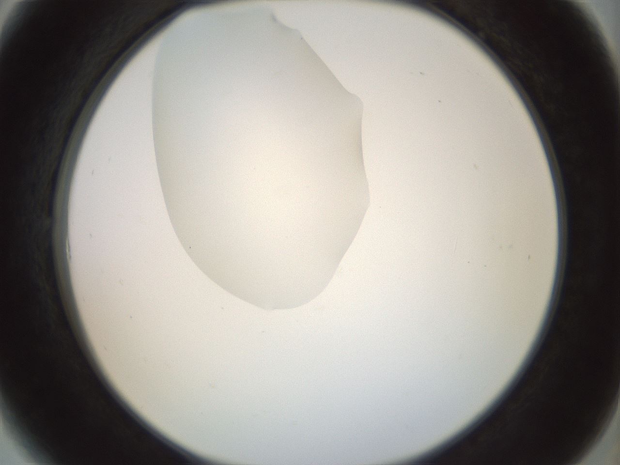 folderID156_plateID1156_batchID3128_wellNum6_profileID1_d2_r63594_ef.jpg