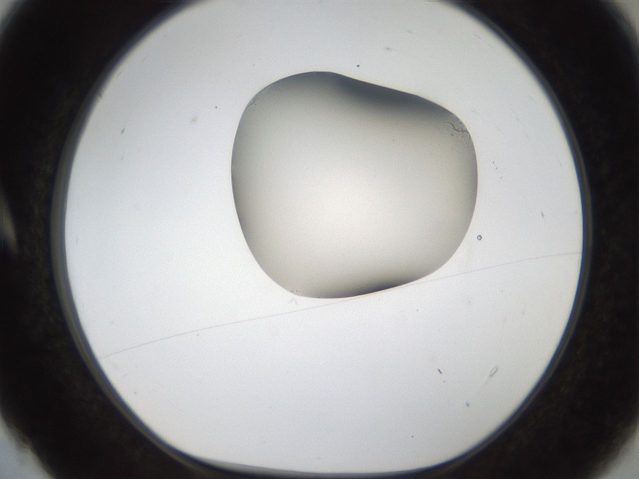 folderID157_plateID1157_batchID3210_wellNum4_profileID1_d1_r63397_ef.jpg