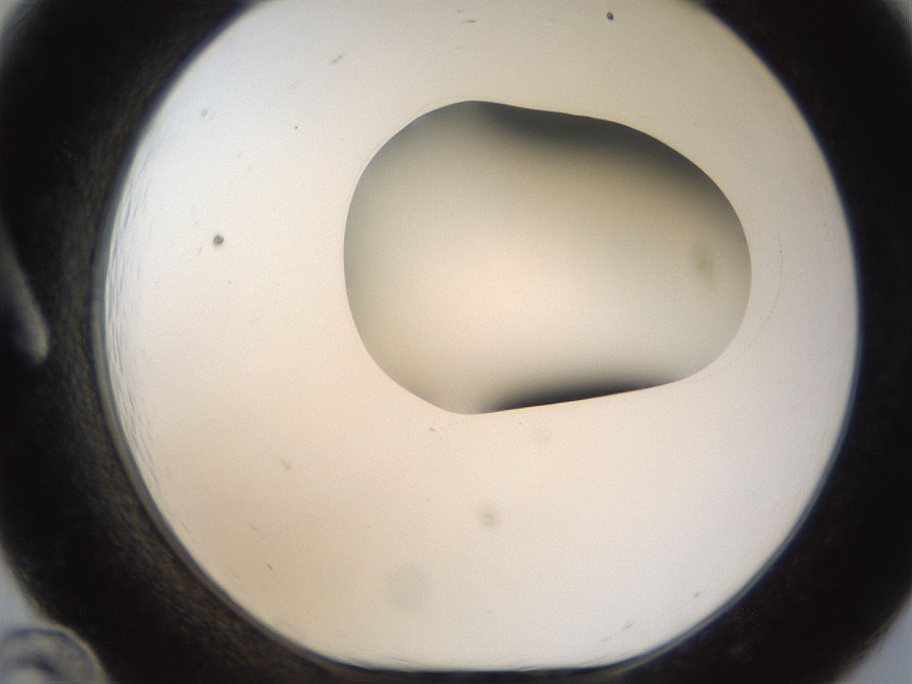folderID157_plateID1157_batchID3210_wellNum12_profileID1_d1_r63413_ef.jpg