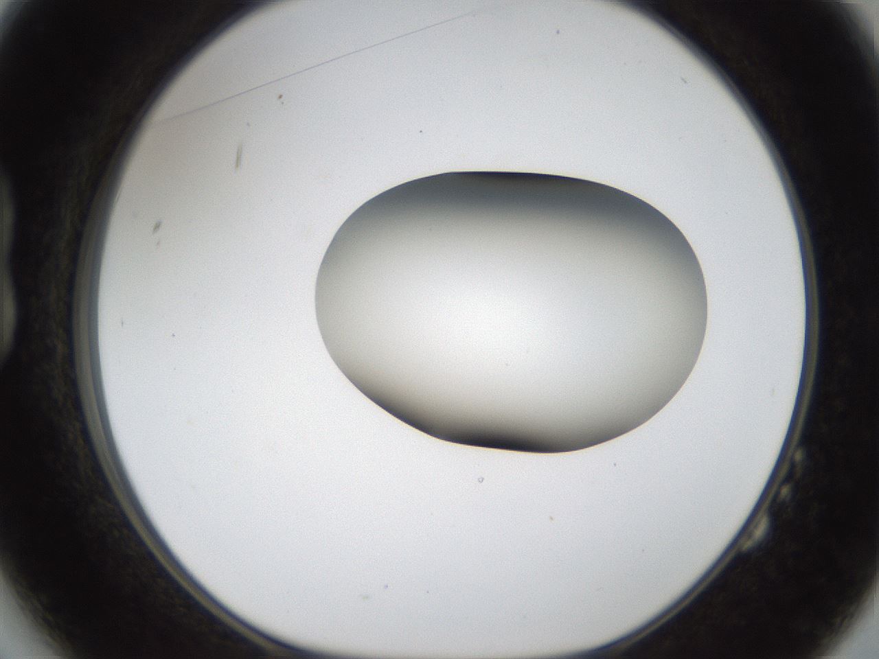 folderID157_plateID1157_batchID3210_wellNum14_profileID1_d1_r63417_ef.jpg