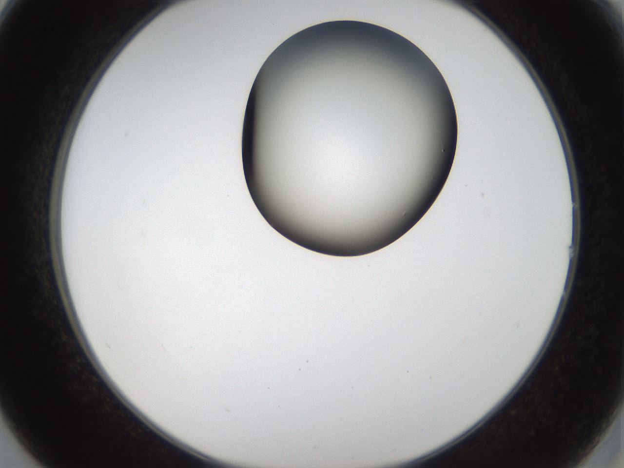folderID157_plateID1157_batchID3210_wellNum14_profileID1_d2_r63418_ef.jpg