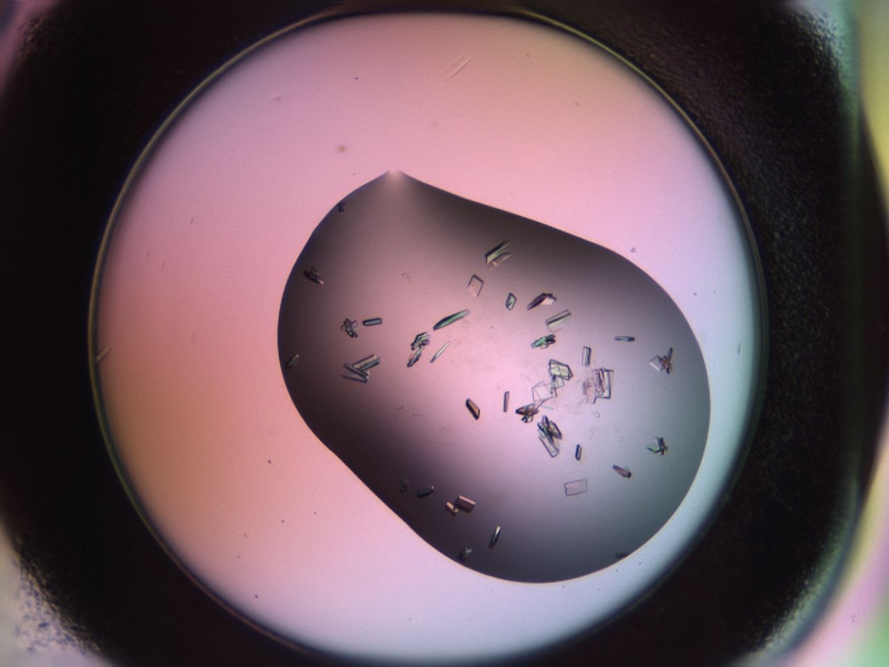 02hi_C6_ImagerDefaults_9.jpg