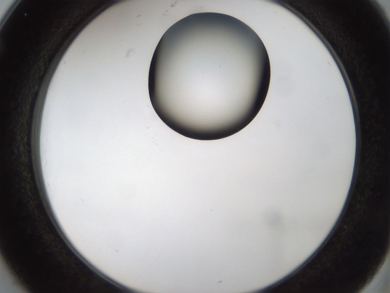 folderID157_plateID1157_batchID3210_wellNum25_profileID1_d2_r63440_ef.jpg
