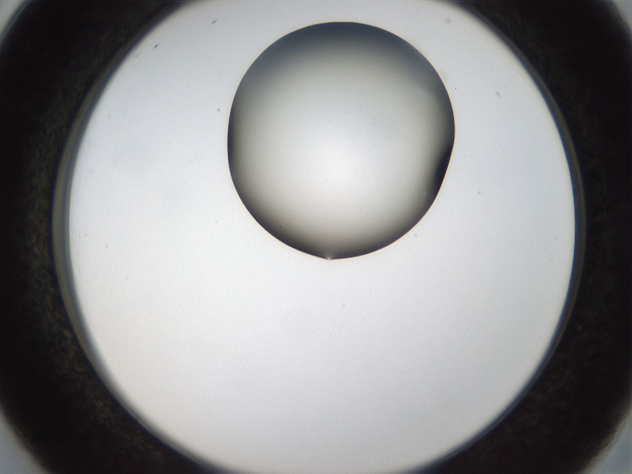 folderID157_plateID1157_batchID3210_wellNum26_profileID1_d2_r63442_ef.jpg