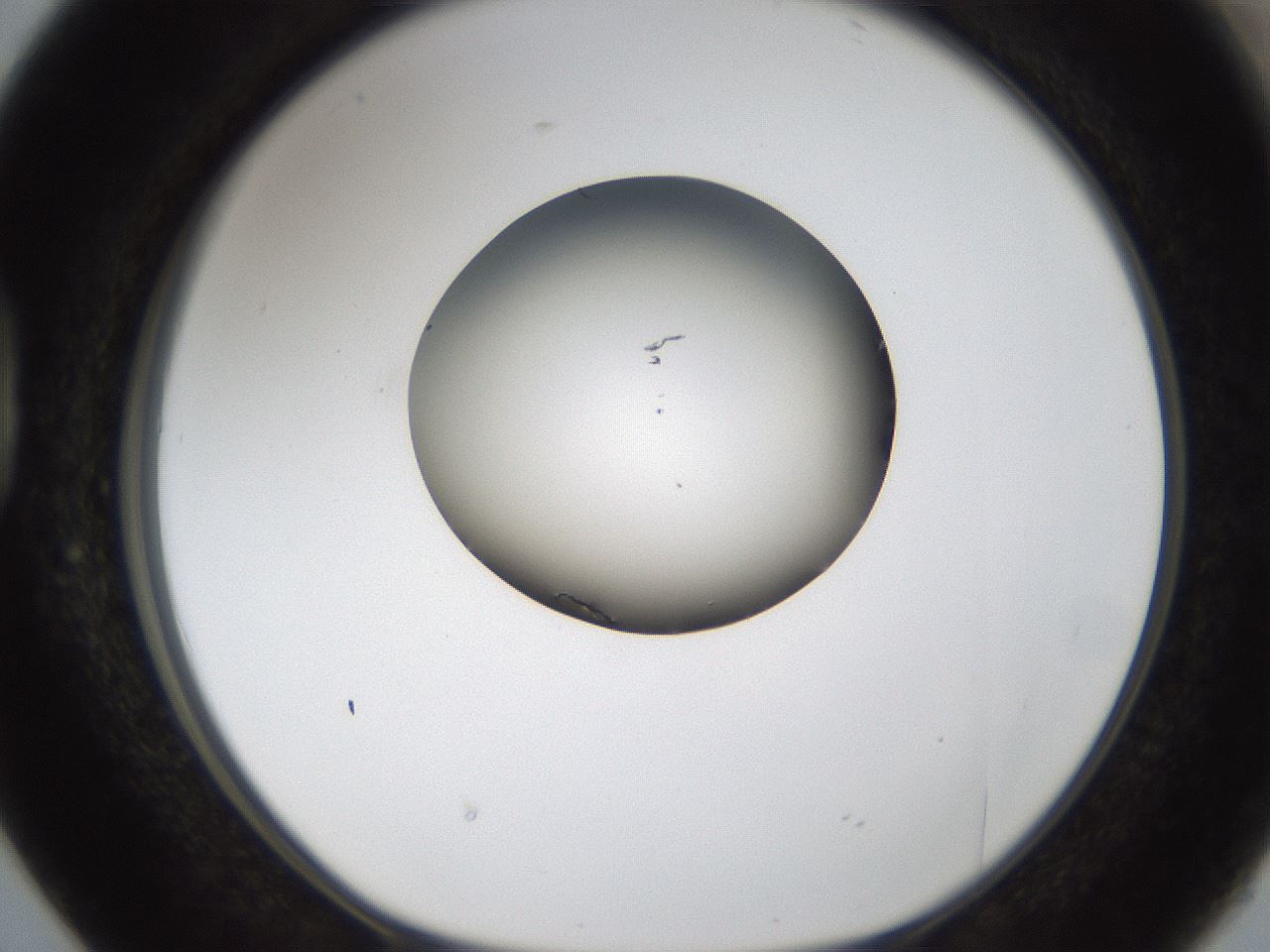 folderID157_plateID1157_batchID3210_wellNum38_profileID1_d1_r63465_ef.jpg