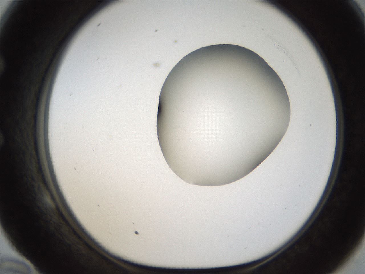 folderID157_plateID1157_batchID3210_wellNum58_profileID1_d1_r63505_ef.jpg